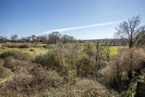 Photo 35- click for photo gallery